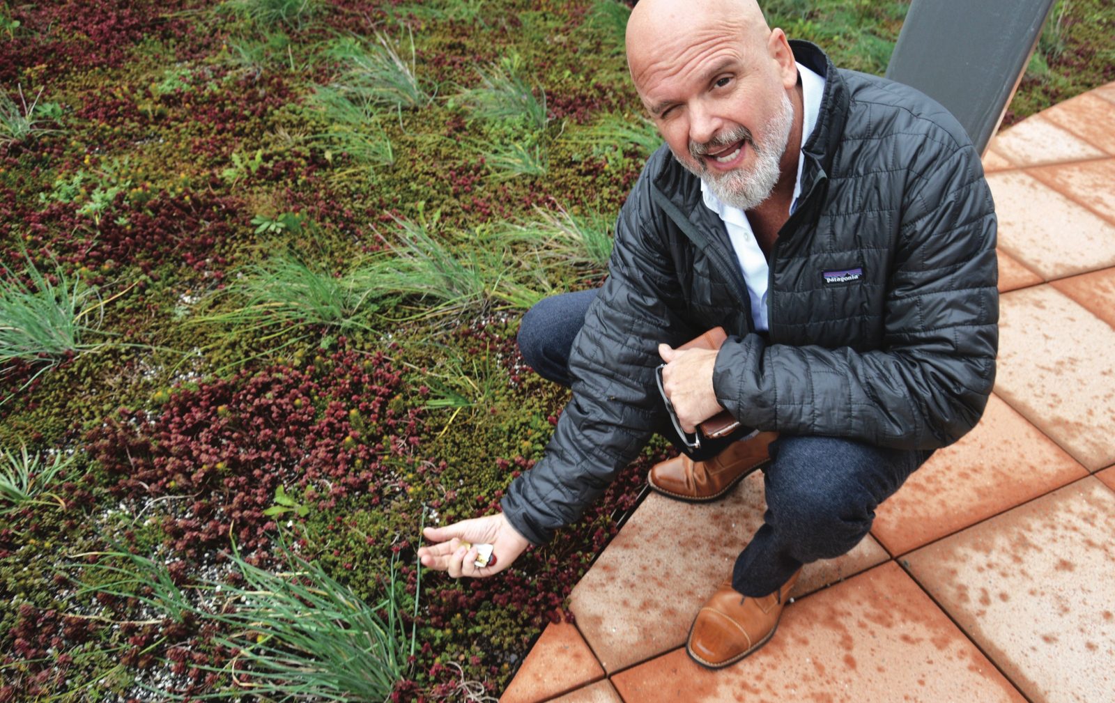 Tim Cole, Old Donation School Vegetated Roof, Virginia Beach schools